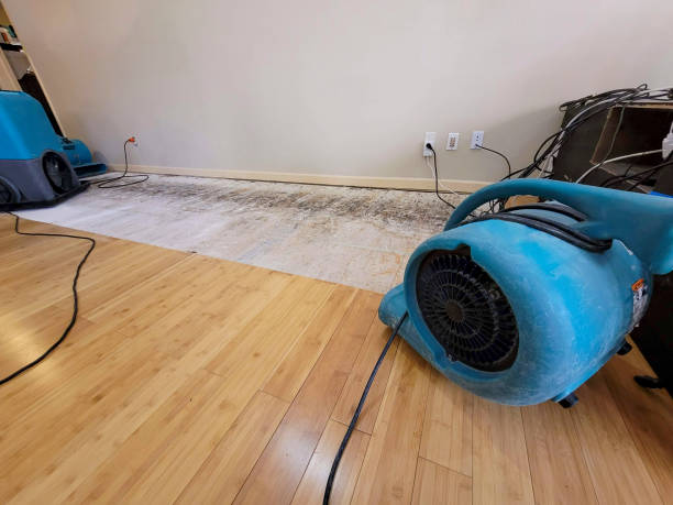 Professional Burst Pipe Water Damage technician working in Dolomite, AL